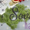 Веточки туи для венка (13 см) (1 уп = 20 шт)