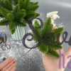 Ветка ели 24 см на 10 хвойных лапок, зеленый Ветка ели 24 см на 10 хвойных лапок, зеленый