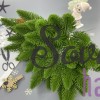 Ветка ели 26 см на 7 хвойных лапок, зеленый
